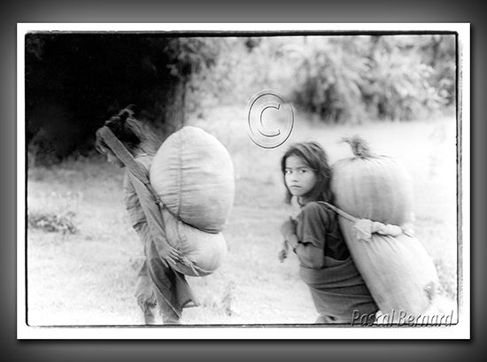 1986D nepal 015