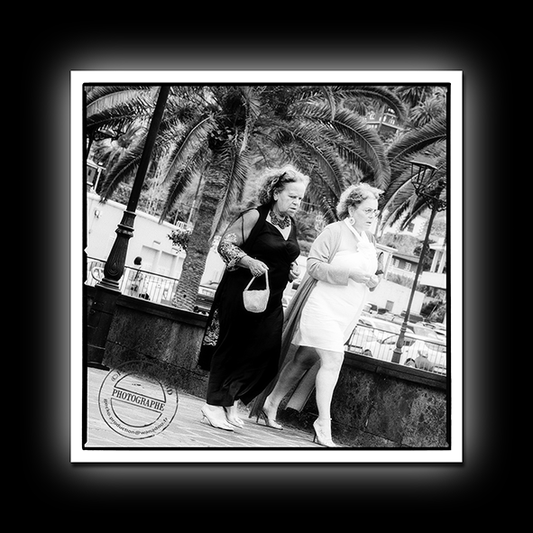 2023-Canaries-004